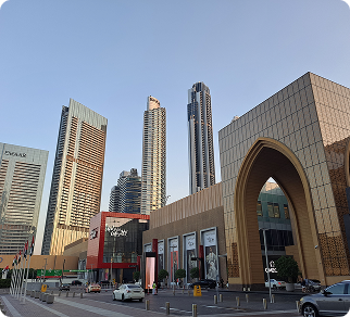 sampleReport.aboutDeveloper.dubaiMall